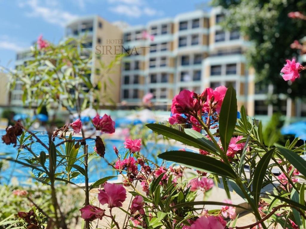 Arcadia Apartments Nesebyr Zewnętrze zdjęcie